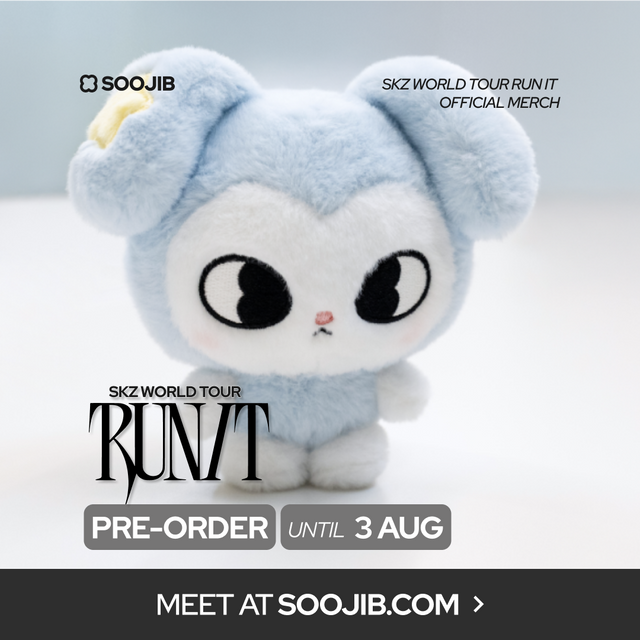 Stray Kids World Tour RUN IT Official Merch