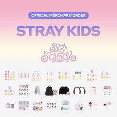 Collection image for: SKZ MD pre-order ⏰