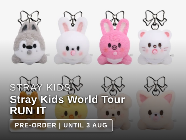 Stray Kids - Stray Kids World Tour RUN IT (MD)