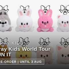 Collection image for: Stray Kids World Tour RUN IT Official Merch