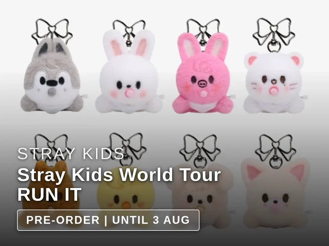 Stray Kids World Tour RUN IT Official Merch