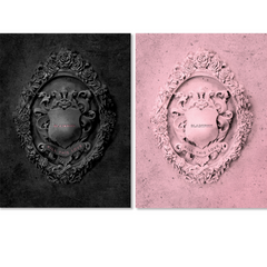 Collection image for: Pre order