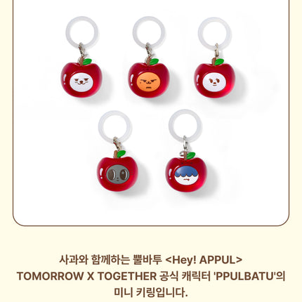[POB] TOMORROW X TOGETHER - Mini Keyring