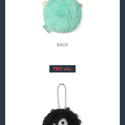 [Pre-order] Mini CORTIS Ball Keyring