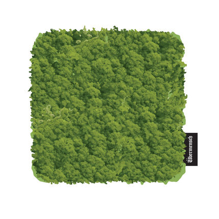 G-DRAGON - COASTER / G-DRAGON 2025 WORLD TOUR ANCORE