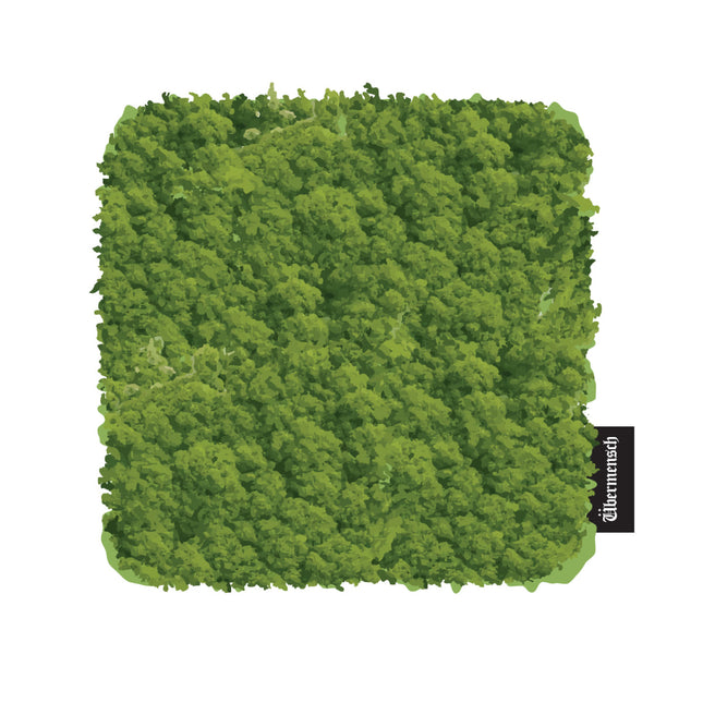 G-DRAGON - COASTER / G-DRAGON 2025 WORLD TOUR ANCORE