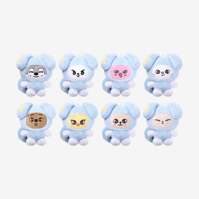SKZOO PLUSH in TASY, Stray Kids World Tour RUN IT official merch Kpop Concert Stray Kids SOOJIB for SOOJIB-Ga kpop Collector
