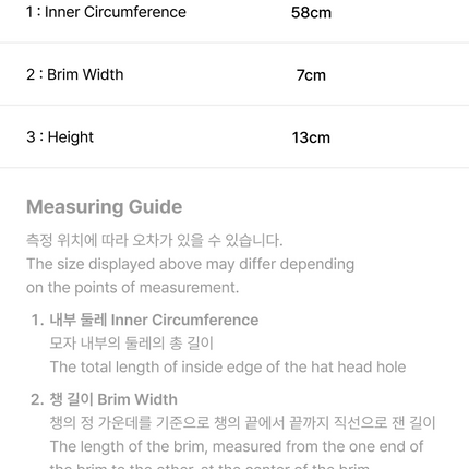 [Pre-order] SEVENTEEN - HAPPY HOSHI DAY (CAP Ver.2)