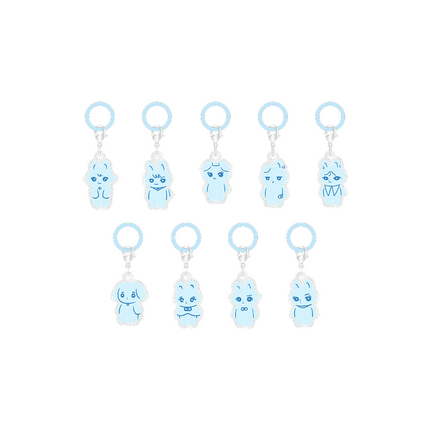 &TEAM - ACRYLIC CHARM