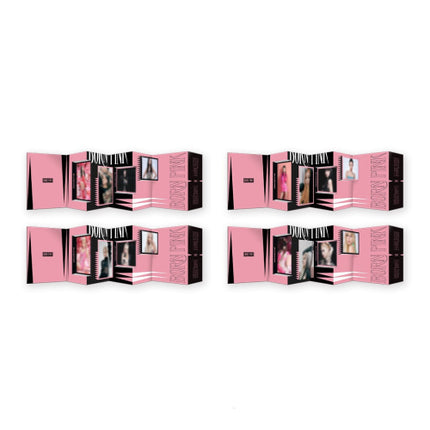 [BPTOUR] BLACKPINK CLEAR BAG