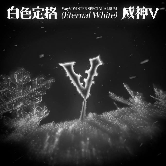 [Pre-order] WayV - 白色定格 (Eternal White) / Winter Special Album (Photo Book Ver.)