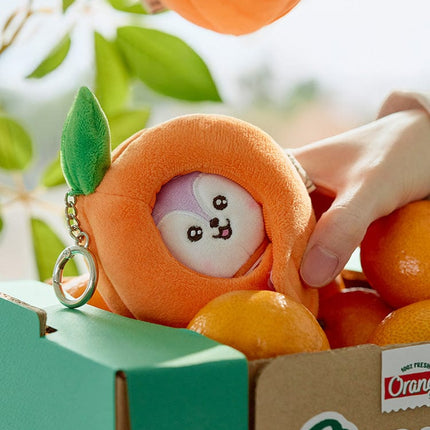 BT21 MANG 베이비 오렌지 파티 인형 키링
