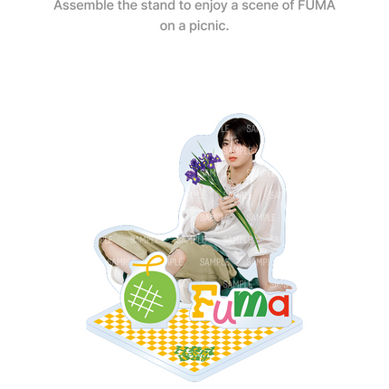 &TEAM - FUMA